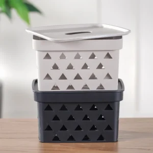 ORGANIZADOR COM TAMPA TRIÂNGULOS 6,8 LITROS